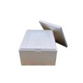 STYROBOX ST80 i ST100 suchy lód