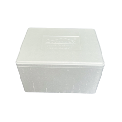 Pudełko izotermiczne Styrobox ST10