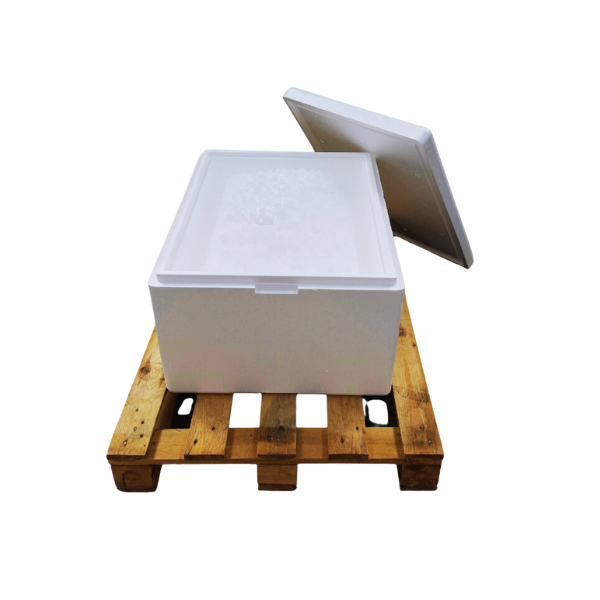 Suchy lód ST80 i ST100.png