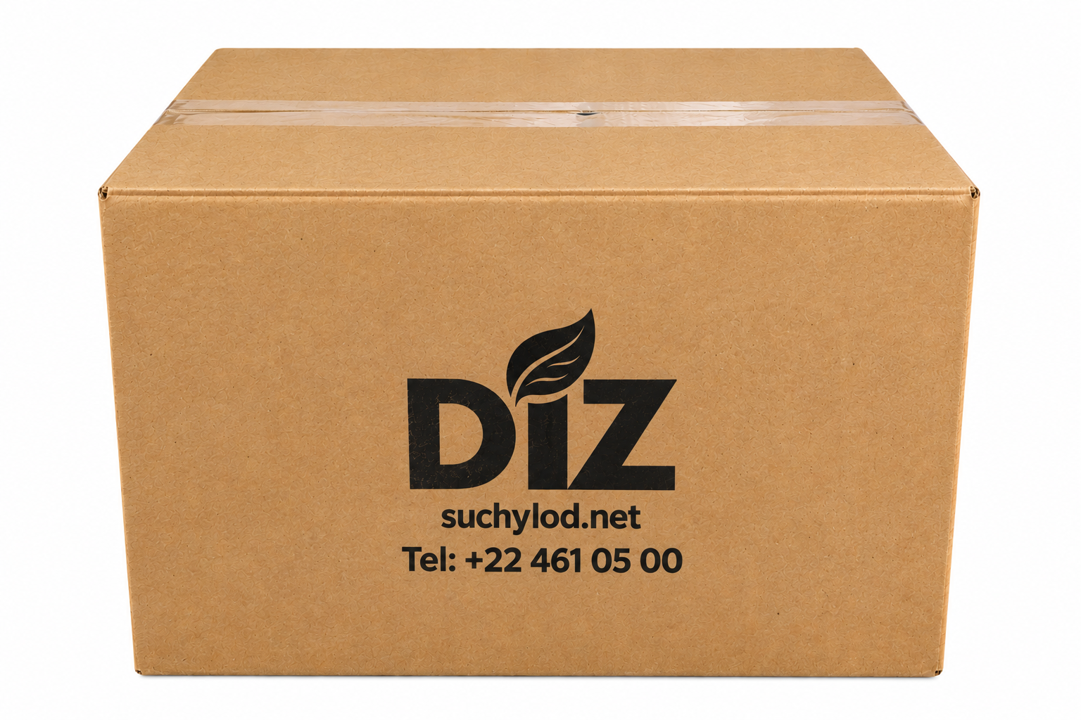 Opakowanie kartonowe OK-10 do Styrobox ST-10 i zestawu 10 kg suchego lodu.